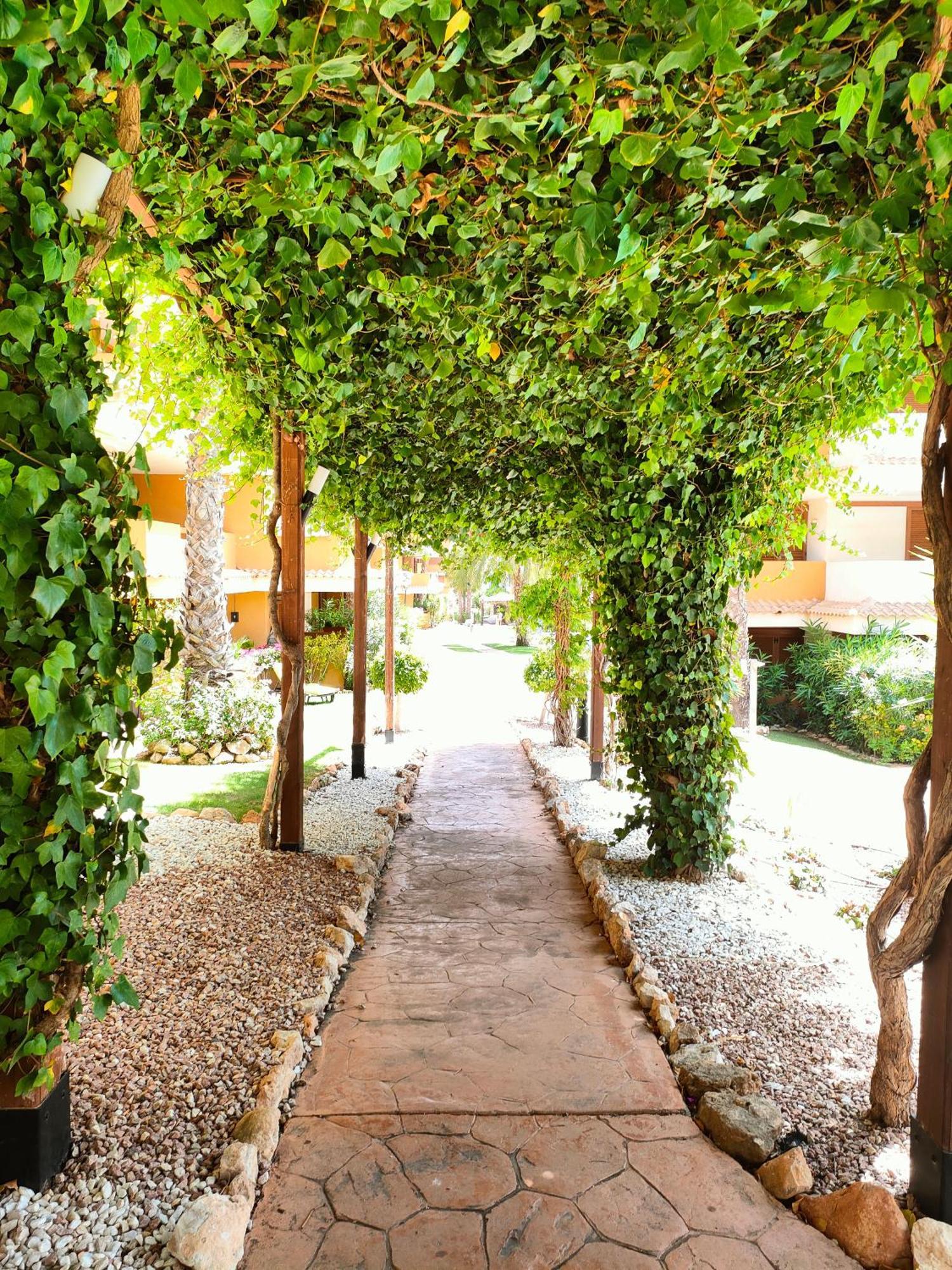 La Entrada Beach Club Torrevieja Exterior foto